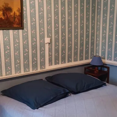 Grande Maison Familiale Près De La Baule, Guérande Et Du Parc Régional De Brière 11p Villa *